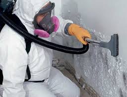 Best Crawl Space Mold Remediation in USA